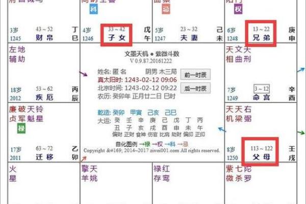 紫薇命盘紫薇斗数