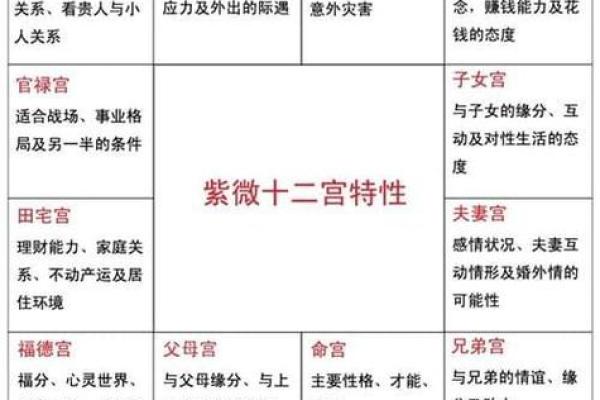 紫薇斗数嫁得好