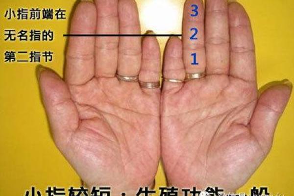 量指算命多神奇？手指长度看命运