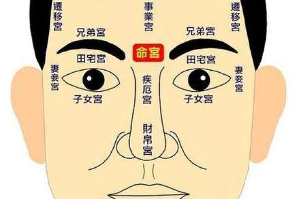 脸上各部位的胎记如何分析算命？