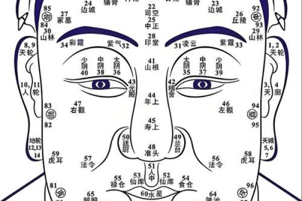 脸上各部位的胎记如何分析算命？
