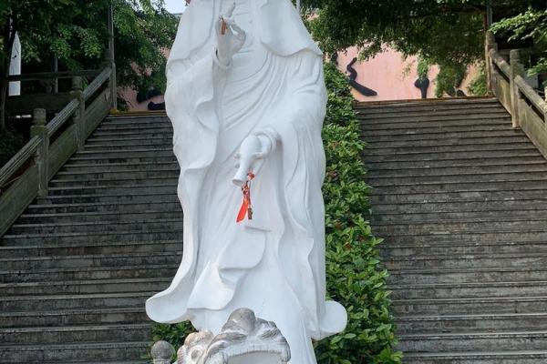 童子命排盘查询 , 童子命到底能不能换