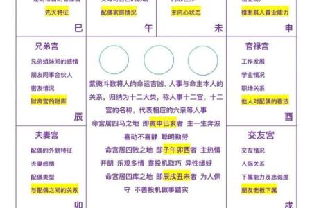 紫薇斗数怎么看分家