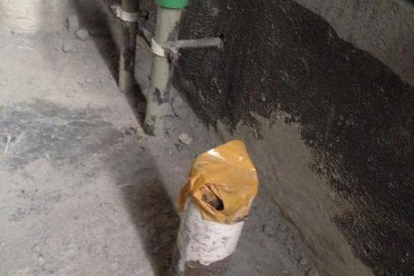 水管风水_地下车位后面有水管带来哪些影响