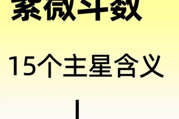 紫薇斗数主星相同