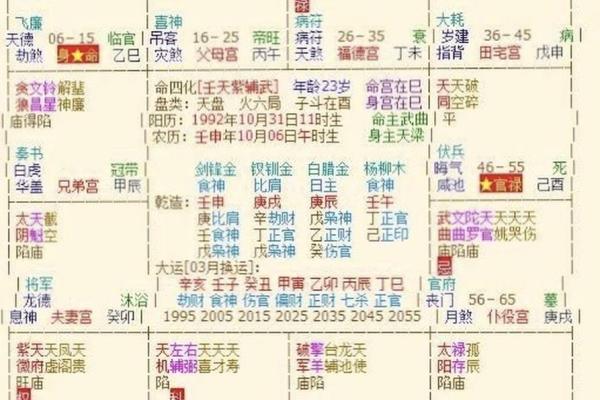 紫薇斗数的财星和官星