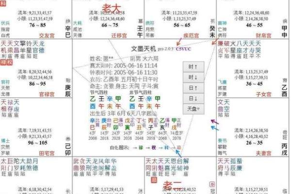 紫薇斗数各宫化