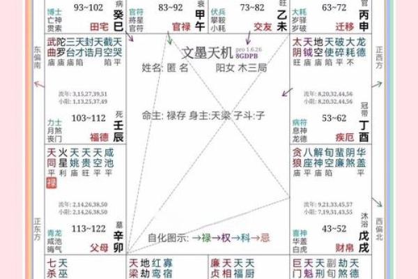 紫薇斗数专业名词