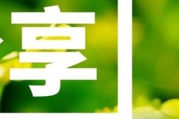 小丸子算命视频大全下载