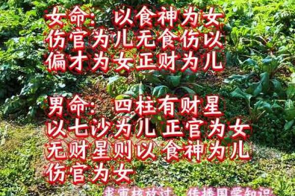 八字算命里几个孩子