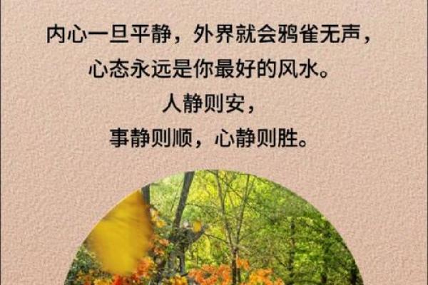 好风水的标准，有这些人生开挂