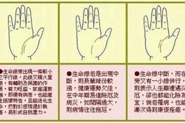 手纹线图解大全男人手相 男人算命看左手还是右手