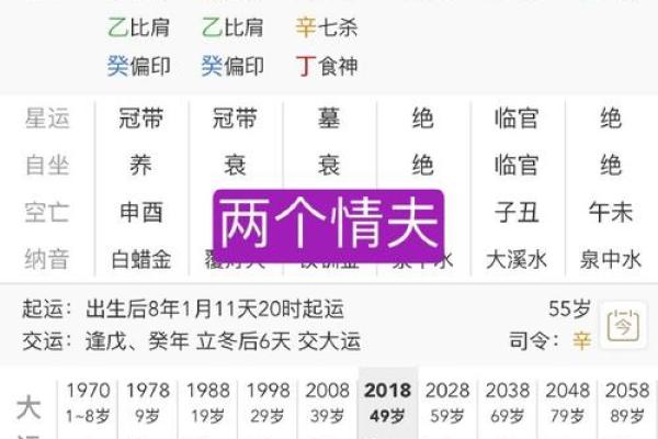 周朴周易大学堂 周朴周易大学堂八字排盘