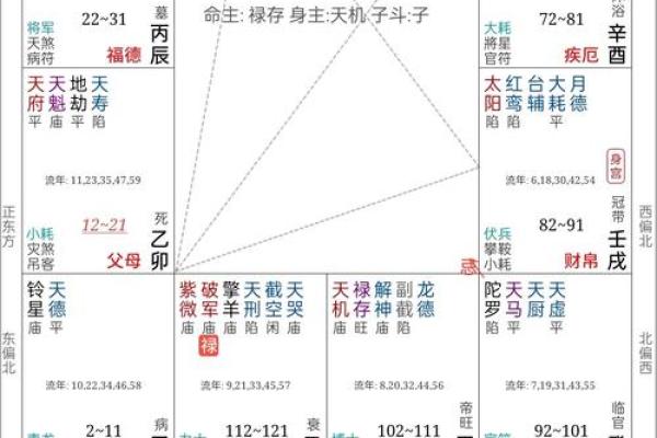 免费看紫薇斗数