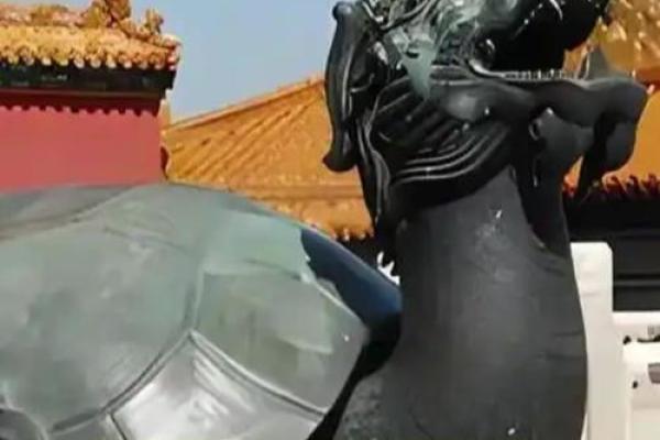 风水龙龟有什么作用的摆放方法及禁忌