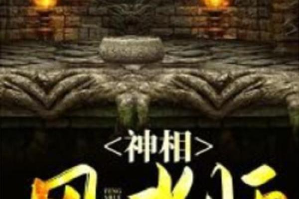 天价风水师