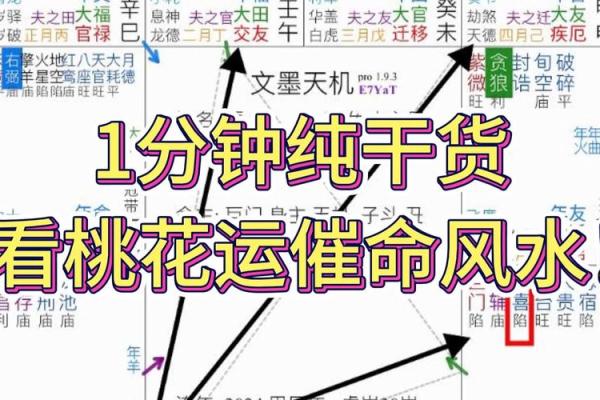 紫薇斗数看灾祸