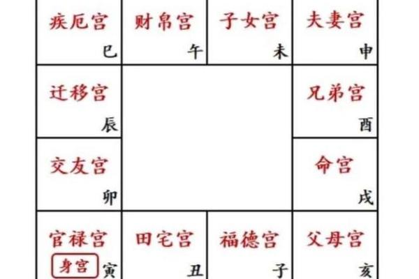 紫薇斗数忌星入十二宫