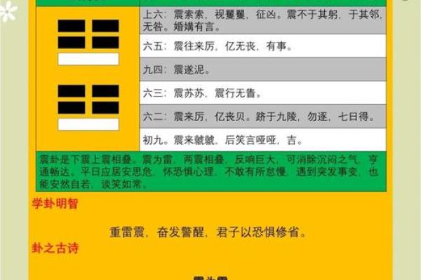 紫微斗数之八卦万物类象：震卦详解
