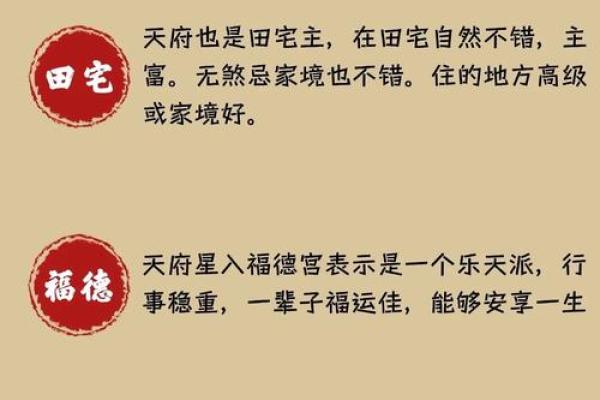 西门雪紫薇斗数