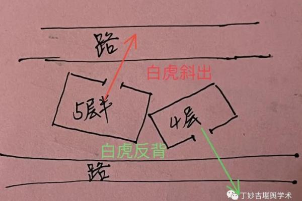 这样的房屋风水造福后代，易出贵人