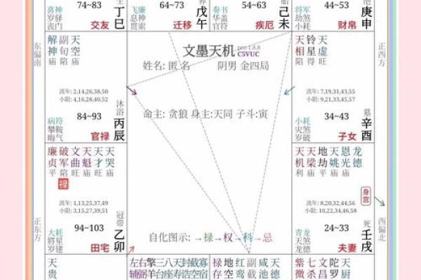 紫薇斗数岁驿星