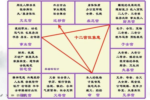 紫薇斗数部署宫