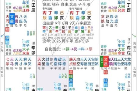 紫薇斗数看命运