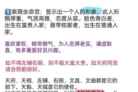 紫薇斗数作用