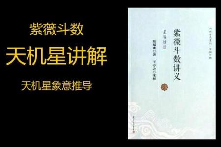 紫薇斗数的故事