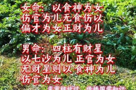 八字算命里几个孩子