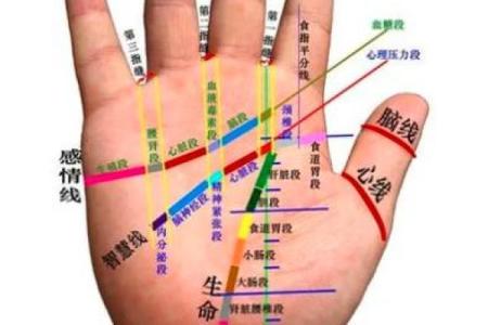 手纹线图解大全男人手相 男人算命看左手还是右手
