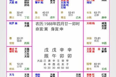 六壬跟紫微斗数区别 六壬跟紫微斗数区别是什么？