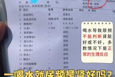 八字无水肾不好怎么办