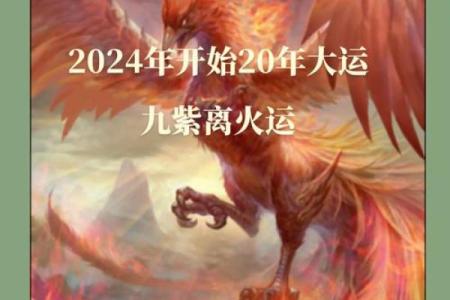 八字喜木火适合做什么