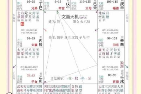 紫微斗数之怎样排斗数四柱详解