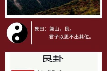 紫微斗数之八卦万物类象：艮卦详解