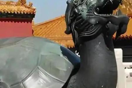 风水龙龟有什么作用的摆放方法及禁忌