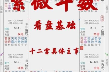 紫薇斗数在线详解