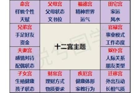 紫薇斗数忌星入十二宫