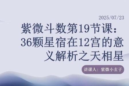紫微斗数之福德宫与诸星，天相星在福德宫是什么意思？