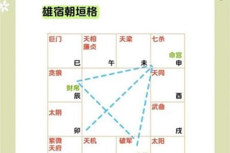 紫薇斗数没有入格局