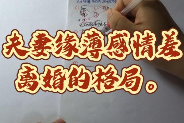 紫微斗数离婚案例，紫薇看离婚原理