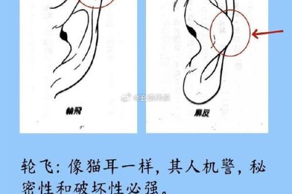 耳朵面相算命