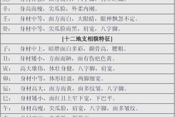 八字命理基础知识八字算命入门