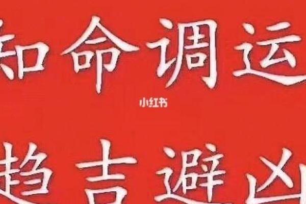 提车八字算命择吉日，车好不好开颜色也很重要
