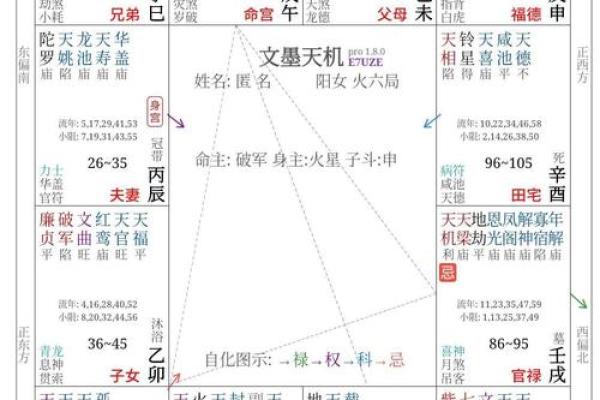 紫薇斗数断盘