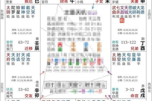 名人紫薇斗数案例
