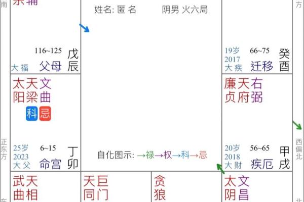 名人紫薇斗数案例