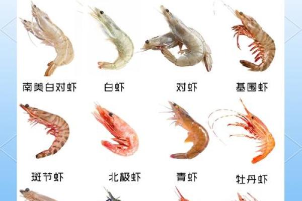 风水招财_养虾招财么